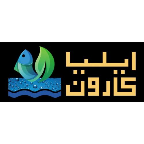ایلیا کارون